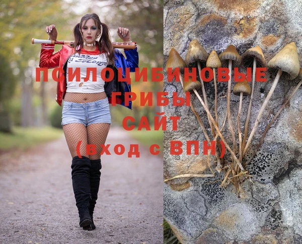 таблы Армянск