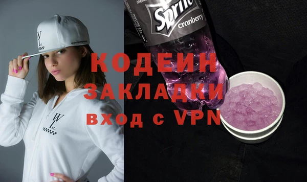 хмурый Арсеньев