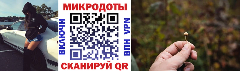 Псилоцибиновые грибы Psilocybe  Разумное 